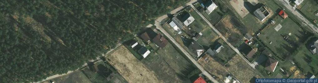 Zdjęcie satelitarne Roman Trębecki Południowa Karolina, Biomasa Południe Roman Trębecki, Jarosław Florek