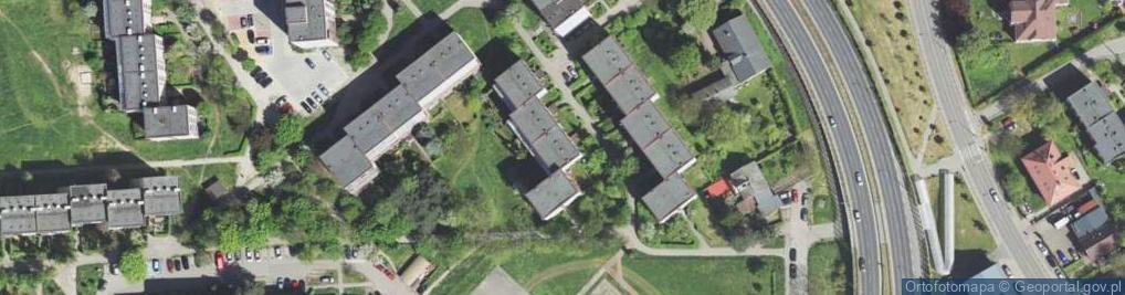 Zdjęcie satelitarne Royal Bud Maciej Król