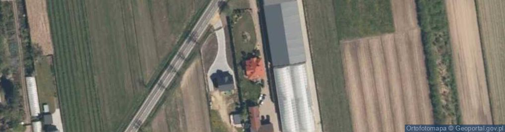 Zdjęcie satelitarne Roza Sobieszek szkółka roślin , szkółka róż , szkółka krzewów