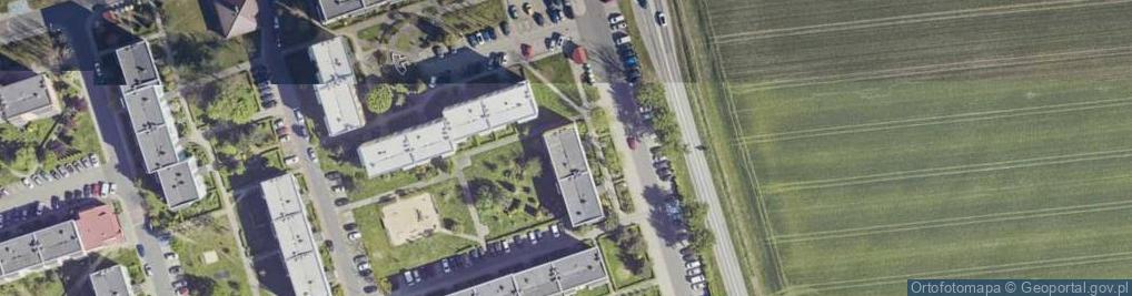 Zdjęcie satelitarne Rusek Longina i Rusek Michał