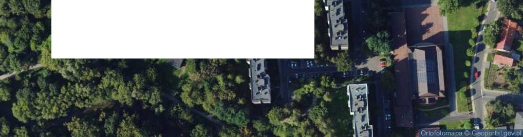 Zdjęcie satelitarne Ryszard Brzegowy Proinfo Information&Technology