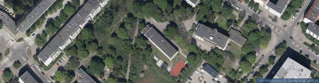 Zdjęcie satelitarne Ryszard Fedyk