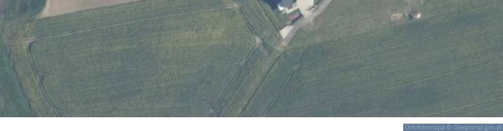 Zdjęcie satelitarne Ryszard Miaczkowski - Działalność Gospodarcza