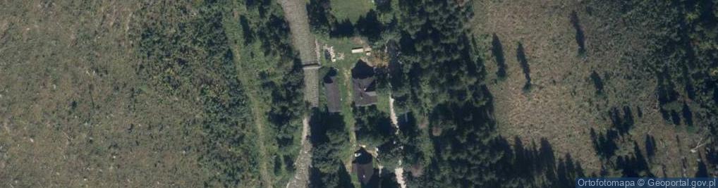Zdjęcie satelitarne Salamandra Hoły Robert Majerczyk Budny Katarzyna