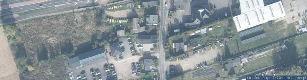 Zdjęcie satelitarne Salix