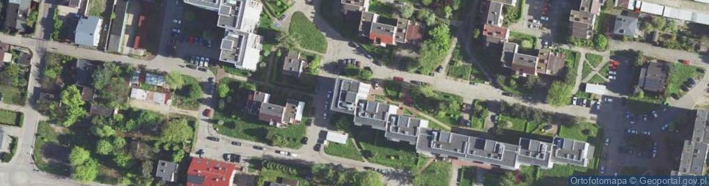 Zdjęcie satelitarne SALTY SKILLS Michał Sulich