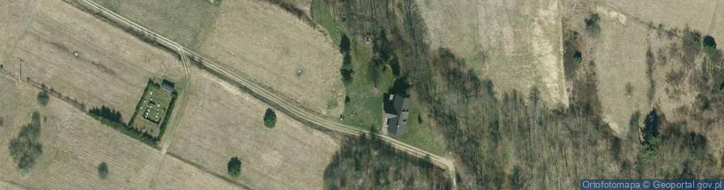 Zdjęcie satelitarne Sancowent