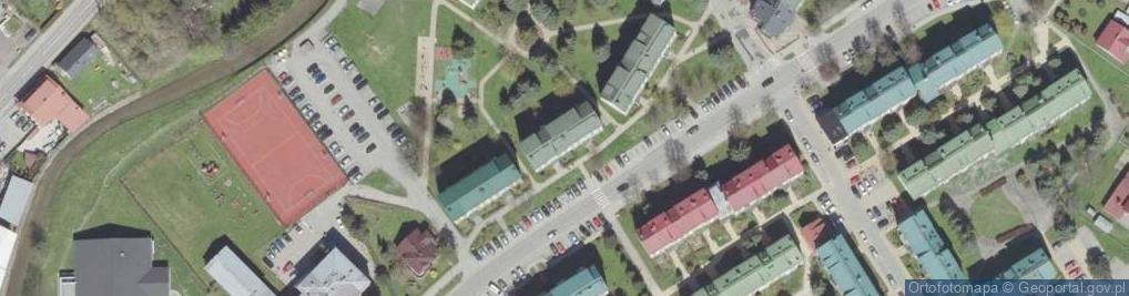 Zdjęcie satelitarne Sanitech