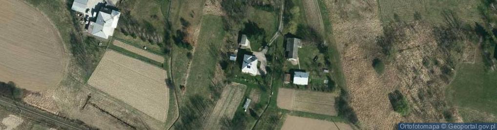 Zdjęcie satelitarne SARI