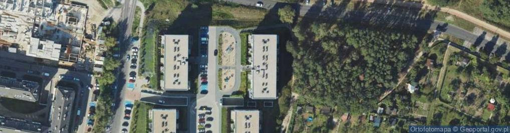 Zdjęcie satelitarne Sauria