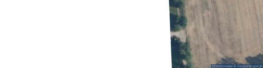 Zdjęcie satelitarne Semperflorens Eliza Mikołajczak