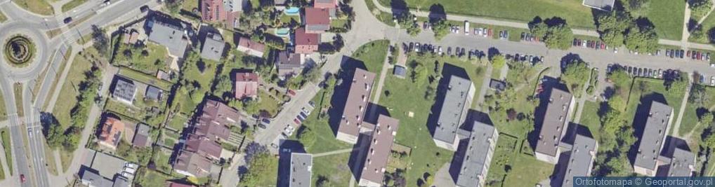 Zdjęcie satelitarne Sidium Wioleta Kurcz