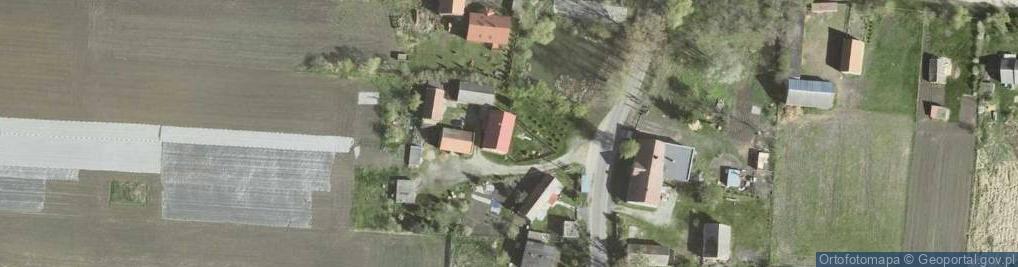 Zdjęcie satelitarne Skóra K., Kaszyce Milickie