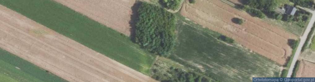 Zdjęcie satelitarne Skup Owoców i Warzyw Monika Pawlica