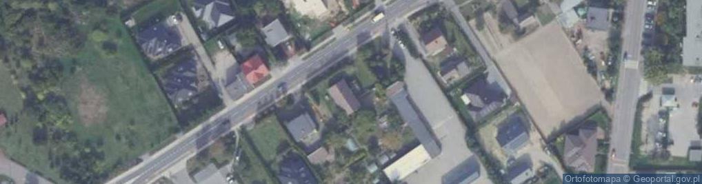 Zdjęcie satelitarne Śliwa Progressio