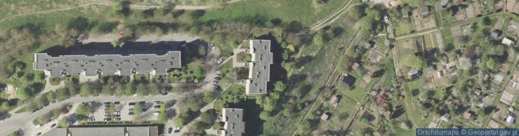 Zdjęcie satelitarne Słomska Kinga Mandorla Projektowanie Graficzne