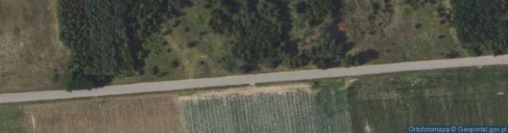 Zdjęcie satelitarne Smart Izabella Strubczewska