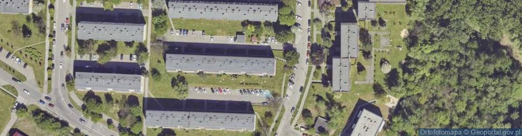 Zdjęcie satelitarne Śmietana Roman