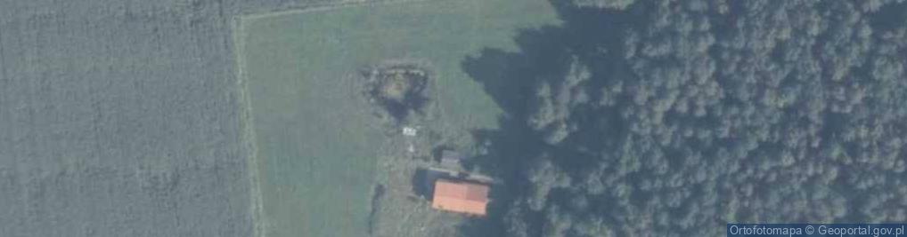 Zdjęcie satelitarne Sosna Piotr Mojarka Czesław Jasiewicz