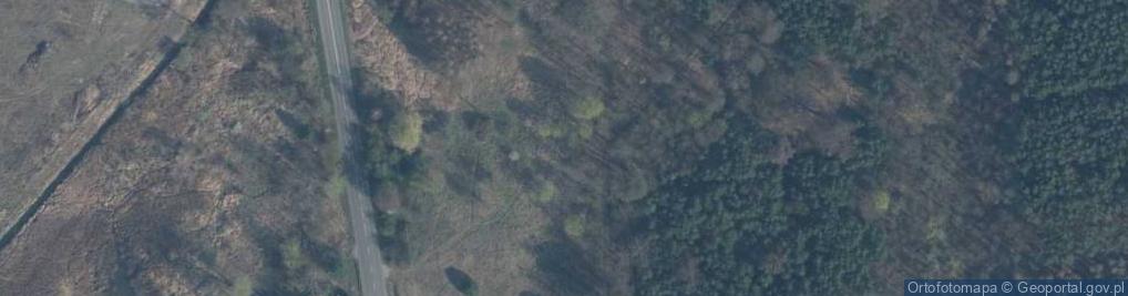 Zdjęcie satelitarne Spedycja K J K