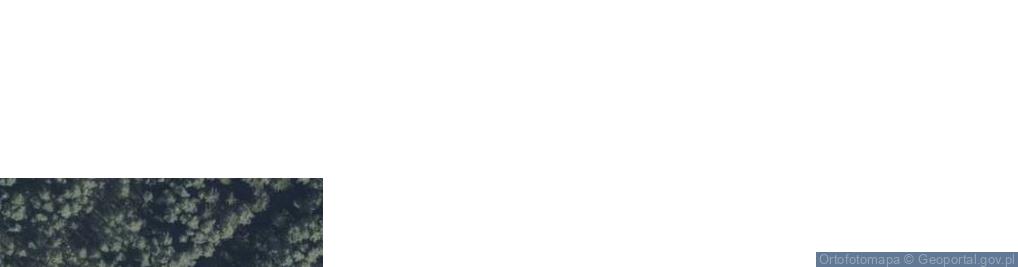 Zdjęcie satelitarne Speed-Trans Marcin Korzeniewski