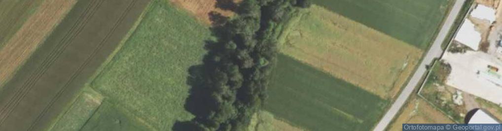 Zdjęcie satelitarne Spółka Wodna w Nidku