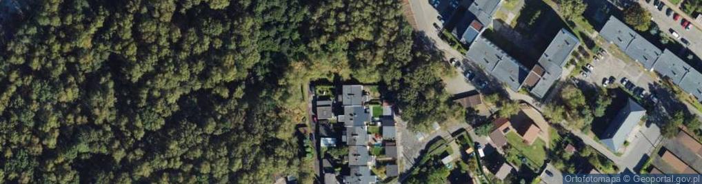 Zdjęcie satelitarne Sprzedaż Bezpośrednia Tworzenie Sieci