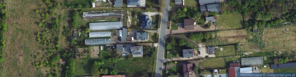 Zdjęcie satelitarne Sprzedaż Kwiatów i Dekoracji Bobi Paweł Tomżyński