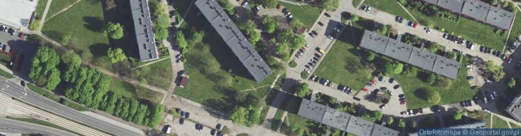 Zdjęcie satelitarne Star Fox