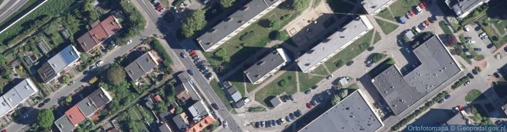 Zdjęcie satelitarne Stokrotka