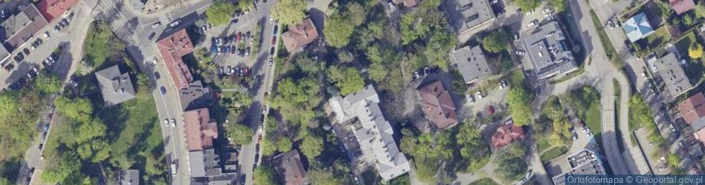 Zdjęcie satelitarne Stowarzyszenie Amazonek