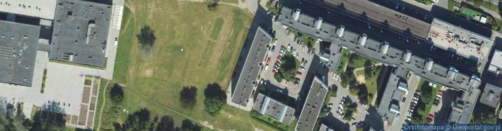 Zdjęcie satelitarne Stowarzyszenie Łąki Nowohuckie