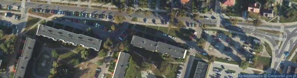 Zdjęcie satelitarne Stowarzyszenie Maja