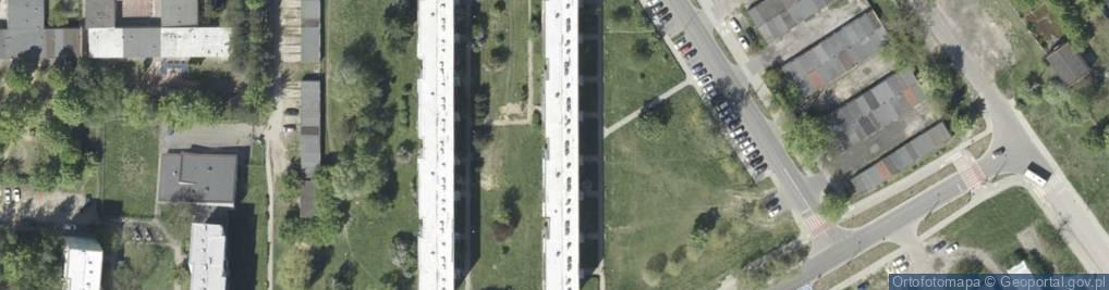 Zdjęcie satelitarne Studium Dosk Zdolności Poznawczych Przedstawicielstwo