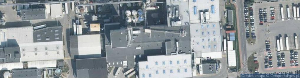 Zdjęcie satelitarne Świta