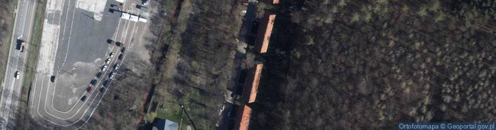 Zdjęcie satelitarne Sylwia Bartnikowska