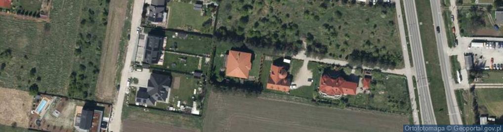 Zdjęcie satelitarne Sylwia Borkowska Niebieski Pies