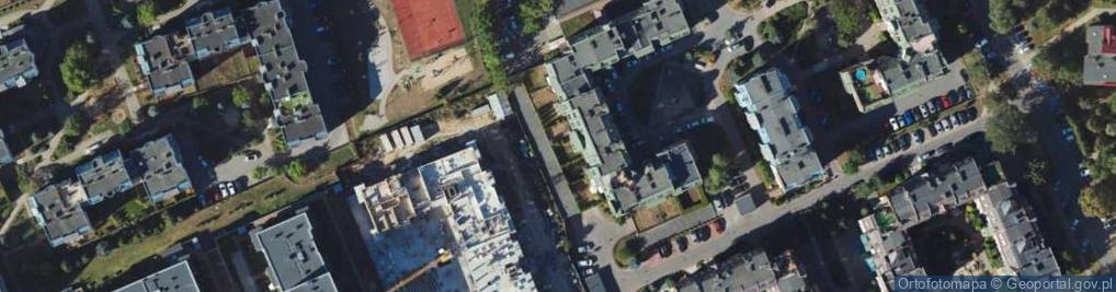 Zdjęcie satelitarne Sylwia Tokajuk
