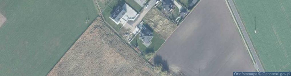 Zdjęcie satelitarne Sylwia Waltrowska