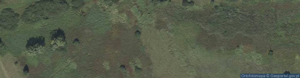 Zdjęcie satelitarne Szemro Albert Al.-Car