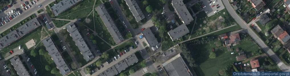Zdjęcie satelitarne Szewczyk Beata Plastuś