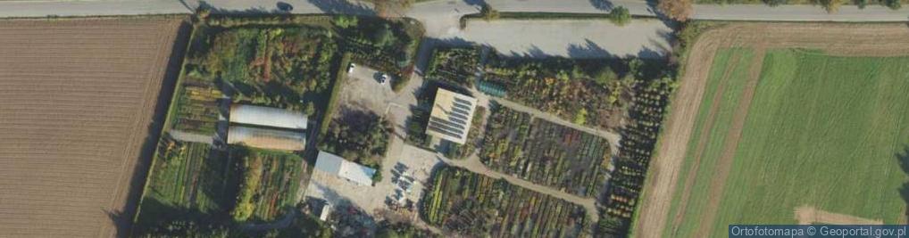 Zdjęcie satelitarne Szkółka Drzew i Krzewów Dendron