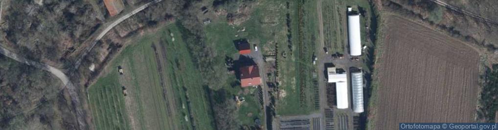 Zdjęcie satelitarne Szkółka Drzew i Krzewów Karolina Wyrzykowska