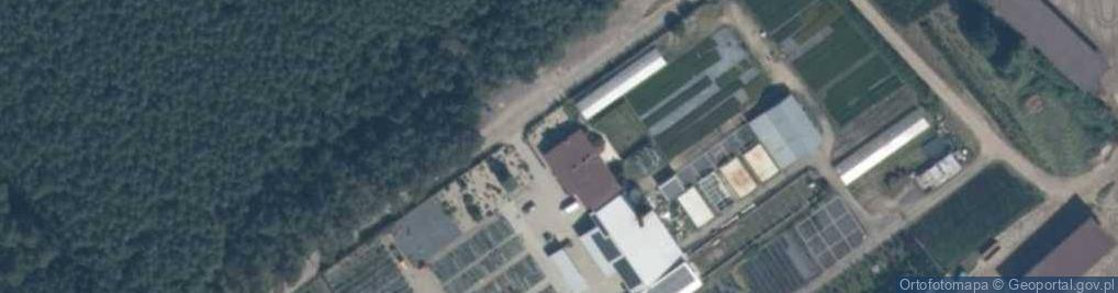 Zdjęcie satelitarne Szkółka Drzew i Krzewów Ozdobnych