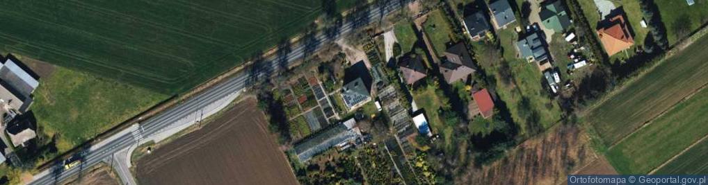 Zdjęcie satelitarne Szkółka Drzew i Krzewów Picea w Radomsku
