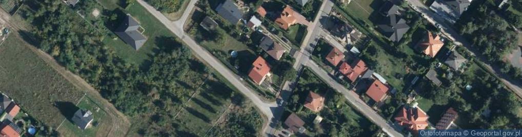 Zdjęcie satelitarne Szkółka Drzew i Krzewów