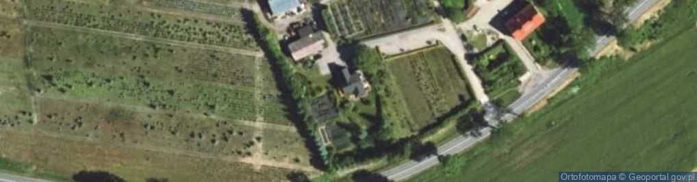 Zdjęcie satelitarne Szkółka "OGRÓD"