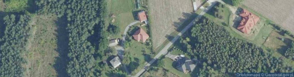 Zdjęcie satelitarne "Szkółka pod Modrzewiem" Iglaki Świętokrzyskie Janik D