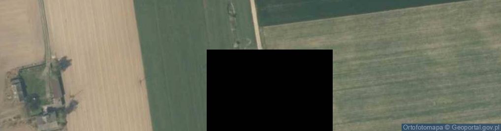 Zdjęcie satelitarne Tadeusz Bryk - Działalność Gospodarcza