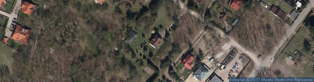 Zdjęcie satelitarne Tadeusz Burzyński - Działalność Gospodarcza